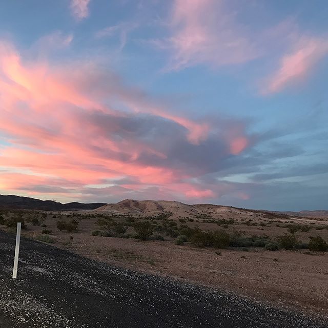 Life in desert. Thought the sky looked neat tonight on